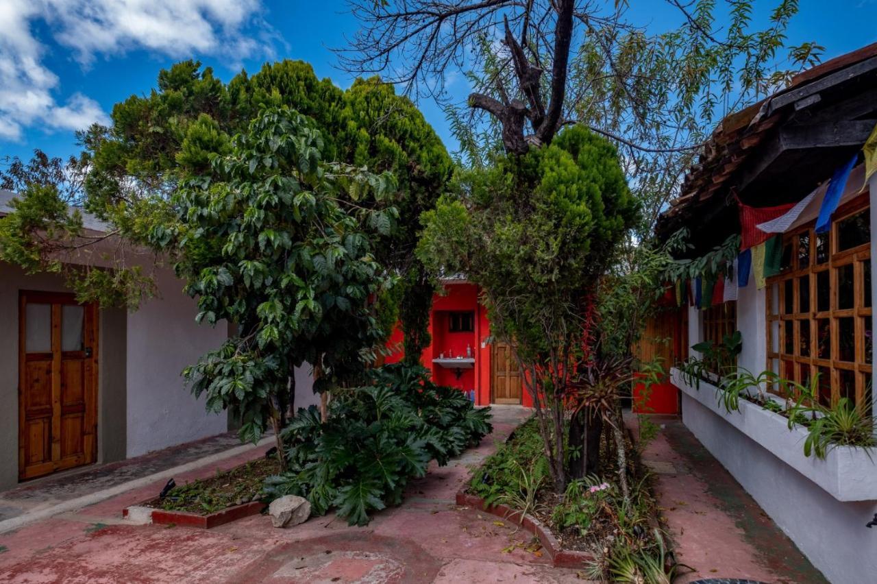 Fandango Hostel ซานกริสโตบัล เด ลาสกาซาส ภายนอก รูปภาพ