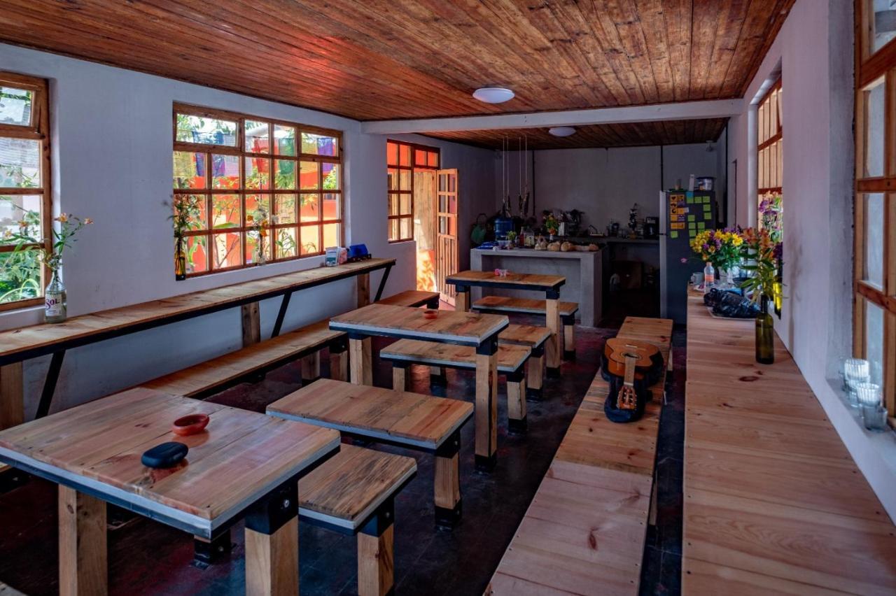 Fandango Hostel ซานกริสโตบัล เด ลาสกาซาส ภายนอก รูปภาพ